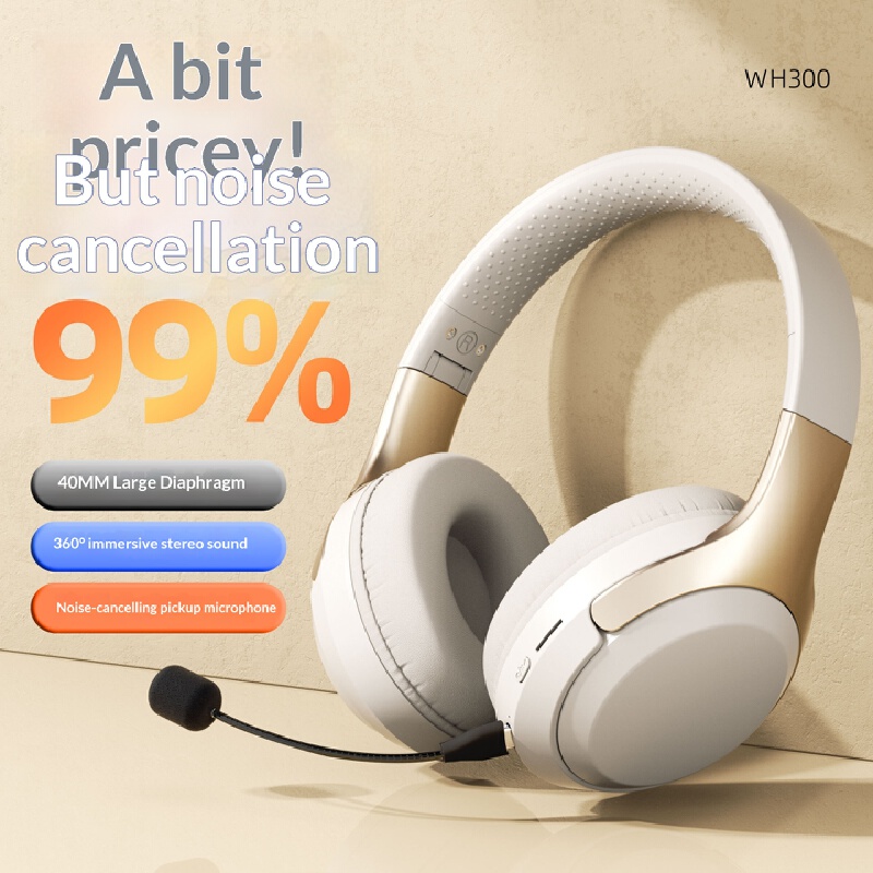 Over Ear Wireless Bluetooth He - огляд і ціна Phone Accessories Officeworks